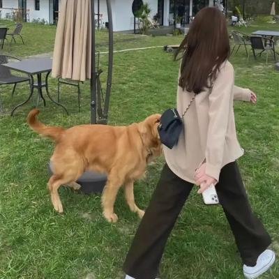 芭比之梦幻仙境